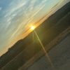 skylerrobert742